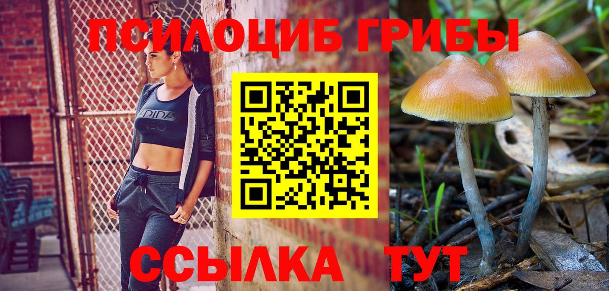 Магнитогорск  Псилоцибиновые грибы прущие грибы  купить наркоту  Вход с VPN 
